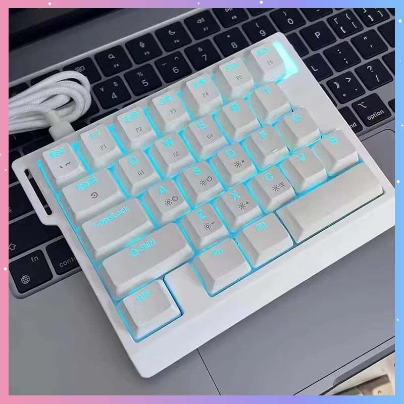 Gaming Keyboard Mechanical - HE30 Mekanik Oyun Klavyesi 29 Tuşlu